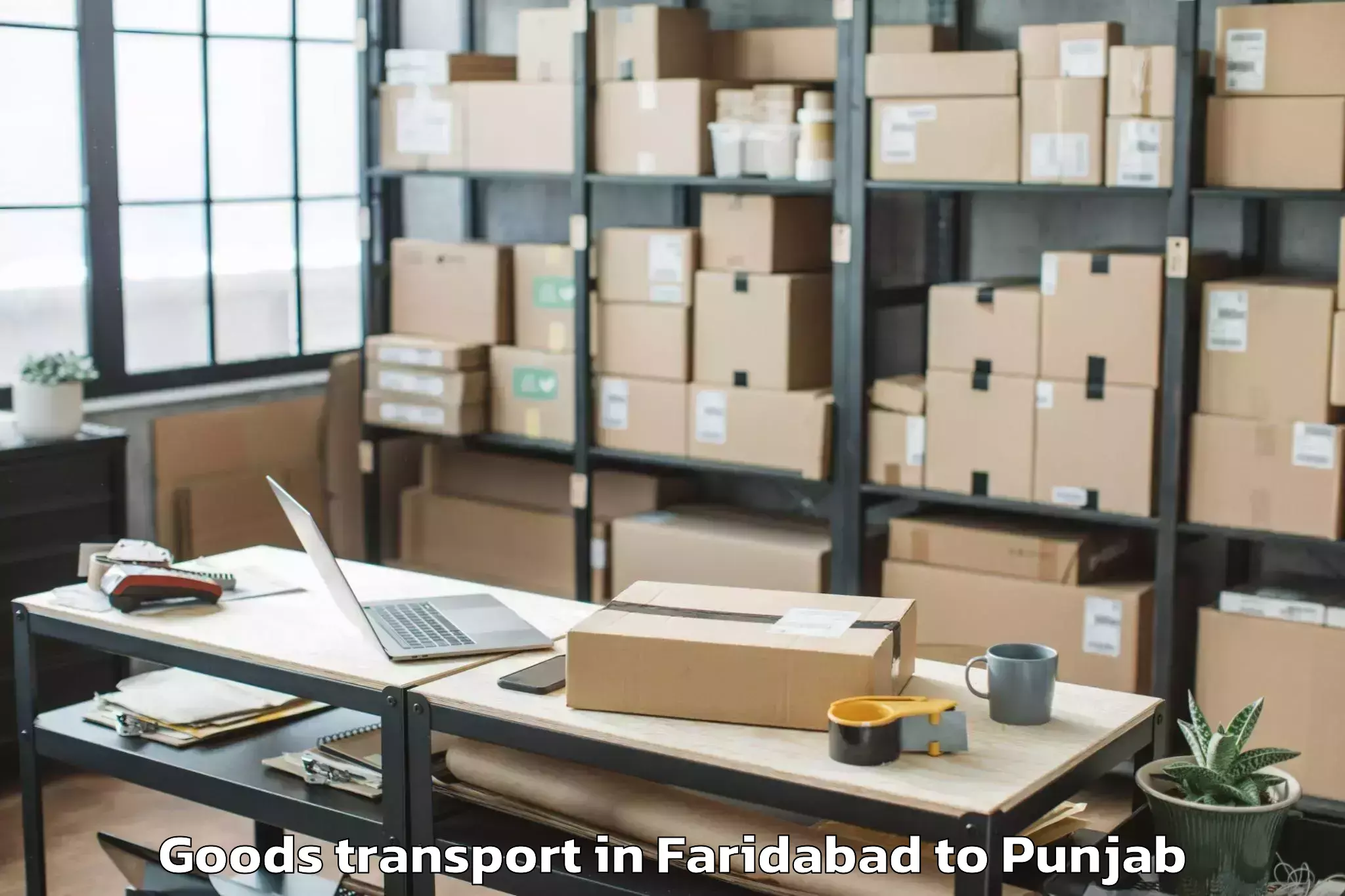 Top Faridabad to Moga Goods Transport Available